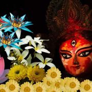 Which flowers to use for Navaratri puja – Giftalove