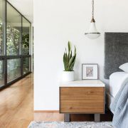 10 Amazing Benefits of Snake Plant at Homes