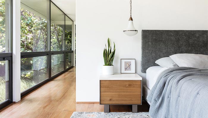 10 Amazing Benefits of Snake Plant at Homes