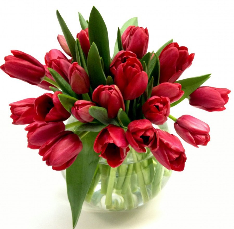Bunch of Red Tulips
