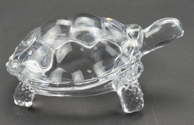 Crystal tortoise