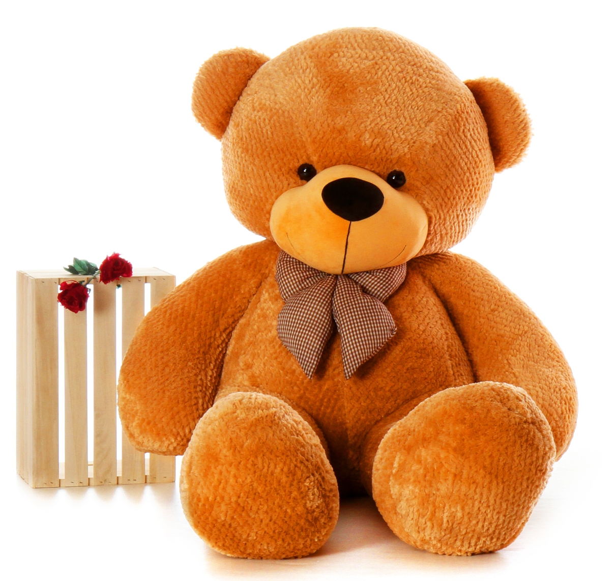 Understanding the Language of Teddy Colors This Teddy Day 2019