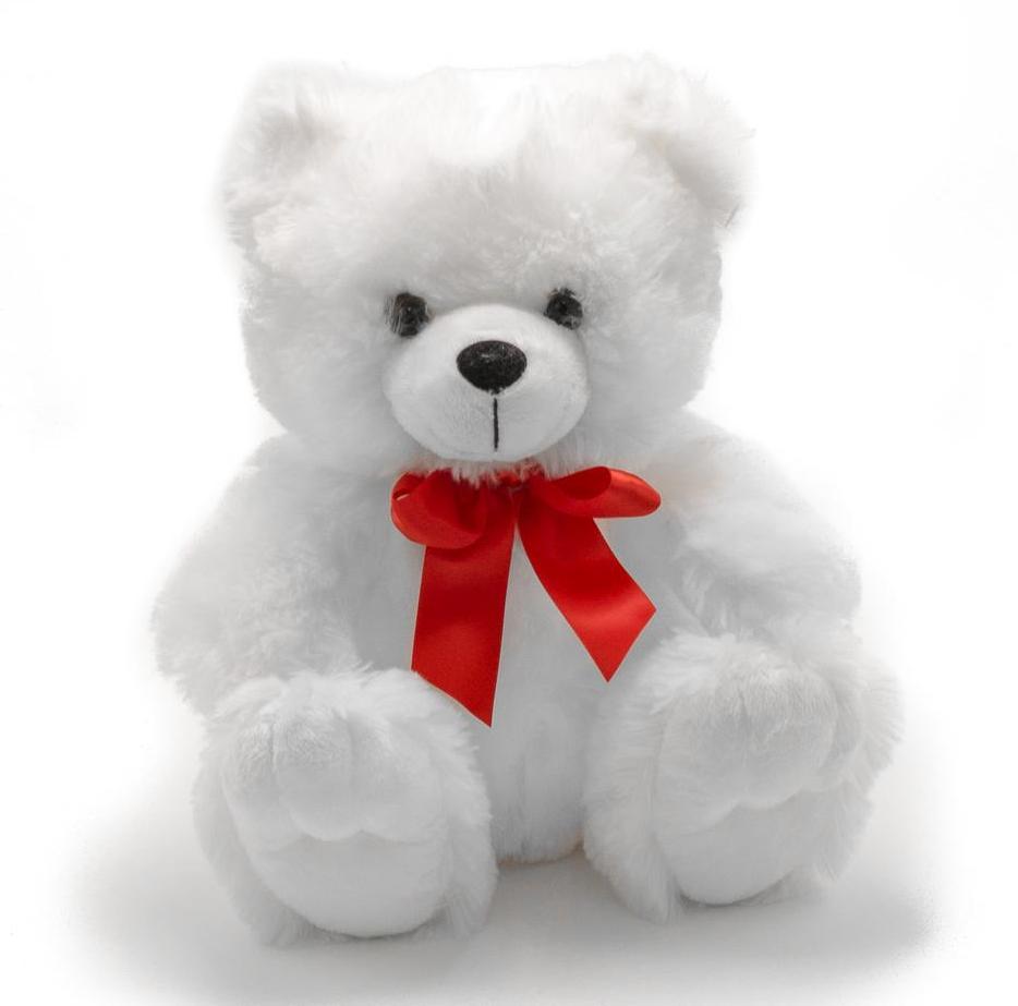 of Teddy Colors This Teddy Day 2019