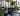 Best Office Plants