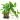 Plant question answer
