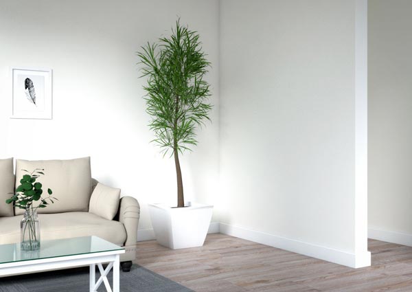 Enhance Tall Trees in Empty Corners