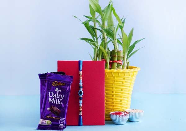 Evil Eye Rakhi with Lucky Bamboo Plant in a ceramic container 