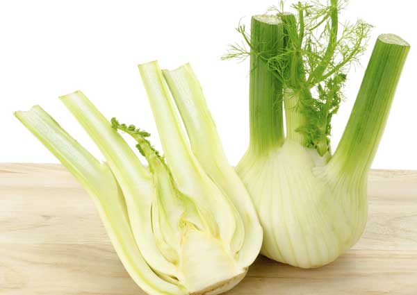 fennel