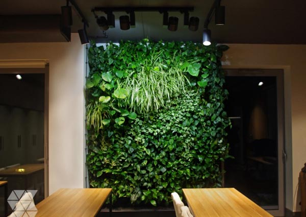 Floating Plants on Walls to Create Illusion