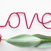 Best Flowers to Express Your Love on this Valentine’s Day!