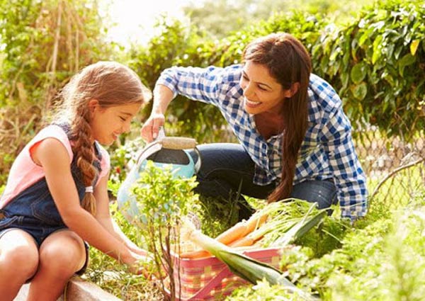 Gardening