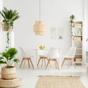 Home Decor with Plants