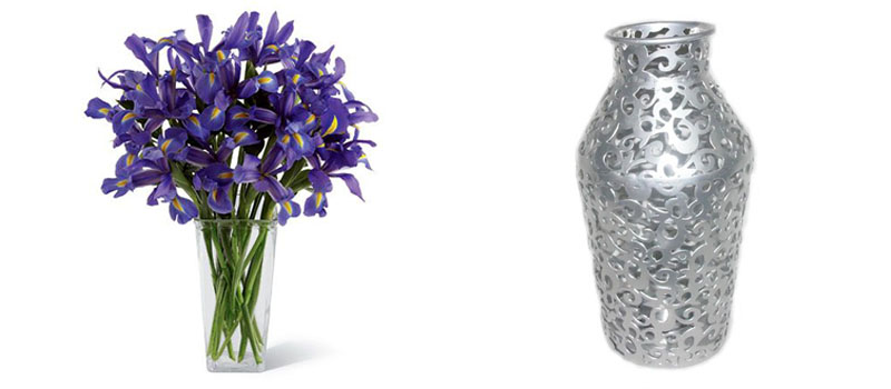 Irises and Silver