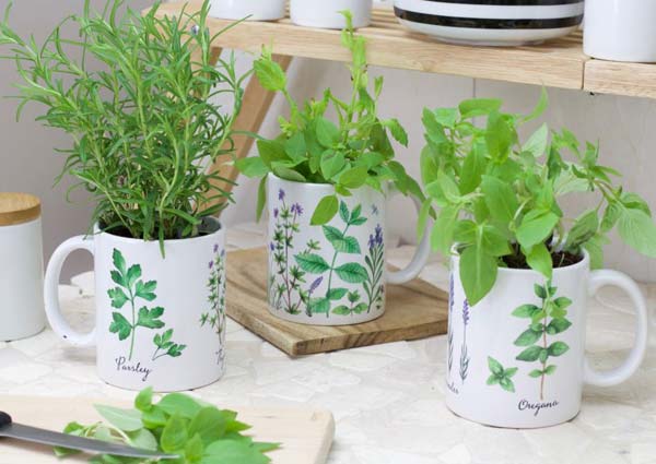 Mug Herb Garden