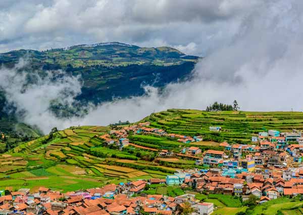 Ooty