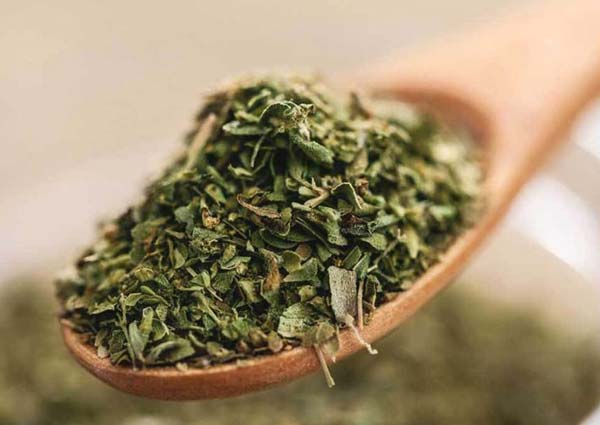 Oregano