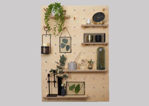 Plants Arranged On Pegboard