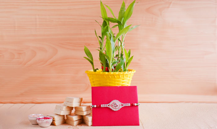 Rakhi with Plants for Brothers