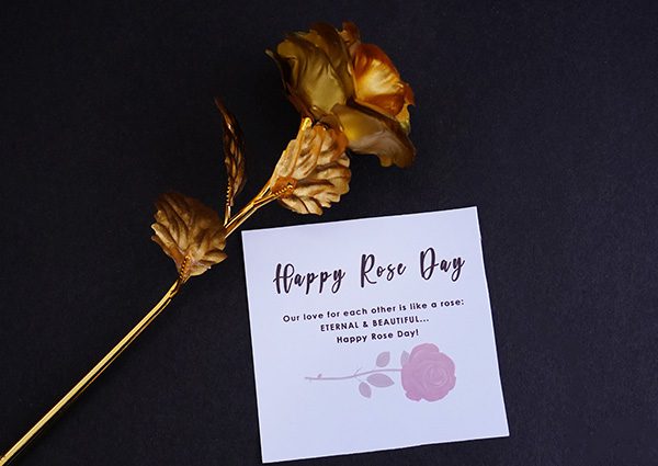 Rose Day Gifts