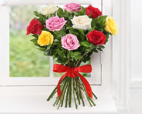 10 Tips to Choose Roses for Mumbai Delivery Giftalove Blog - Ideas,  Inspiration, Latest trends to quick DIY and easy how–tos