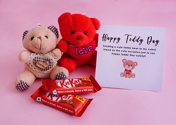 Teddy Day Gifts