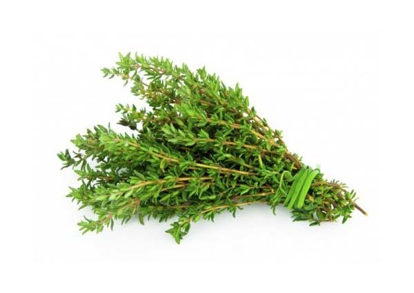 Thyme