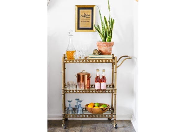 Transform Bar Cart with Plants