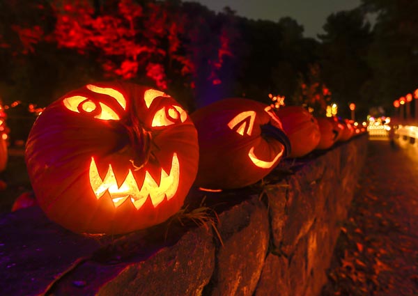 Typical Symbols of Halloween