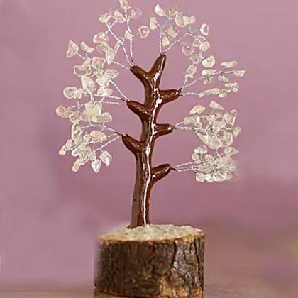 Wishing Tree Gift