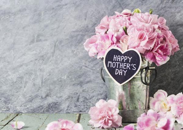 Carnation as Official Mother’s Day Flowers