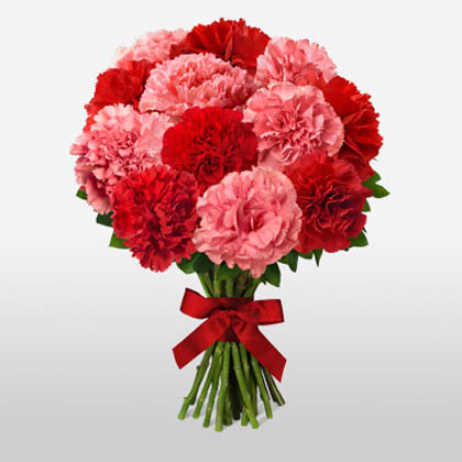 Carnations