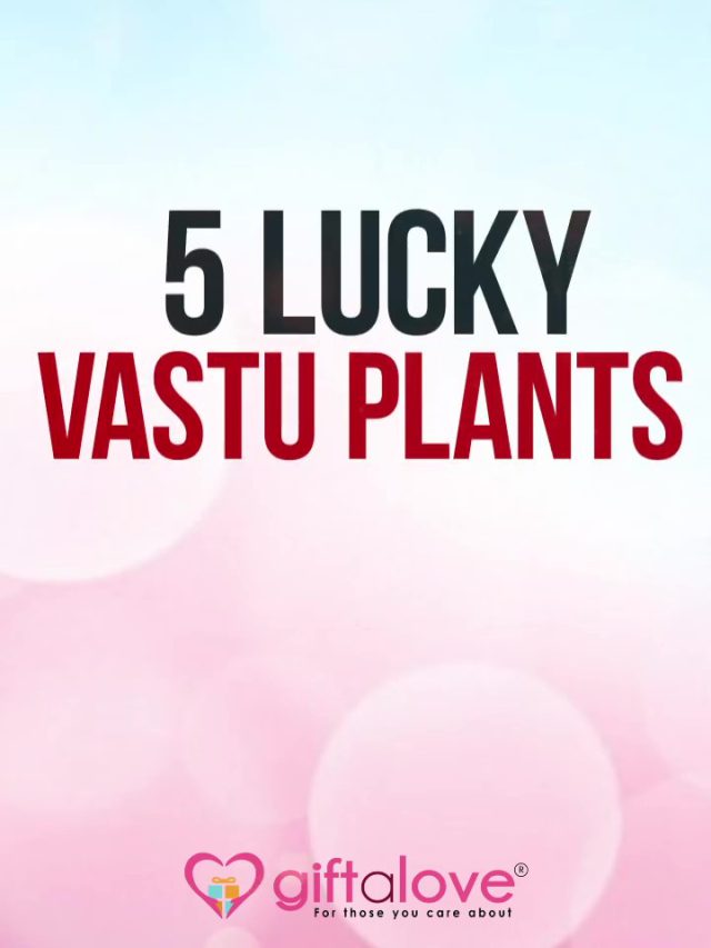 Top 5 best Vastu plants for home