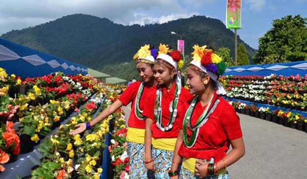 international flower festival gangtok sikkim
