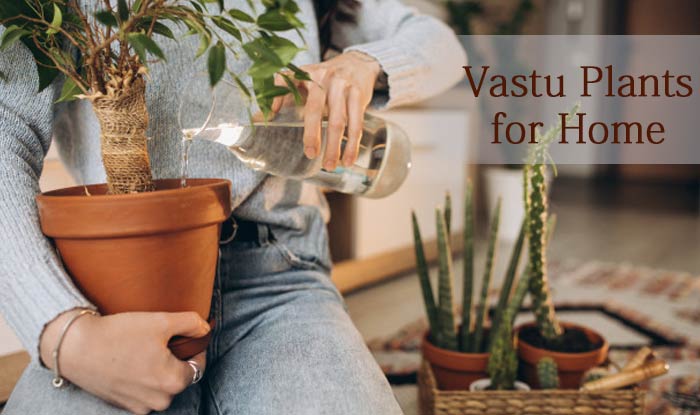 Vastu Plants for Home