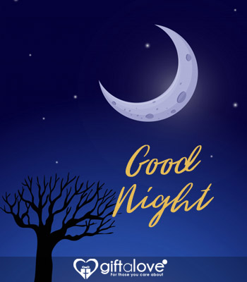 good night wishes