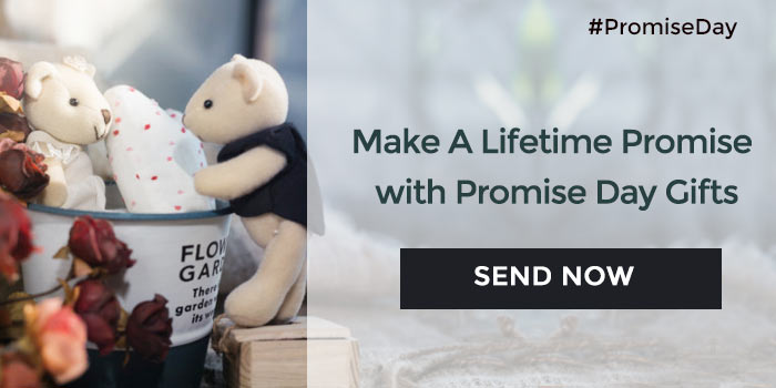promise day gifts