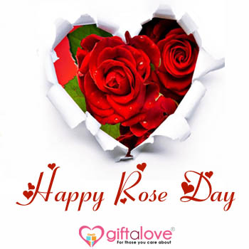 Rose day Greetings for loved one