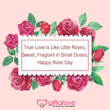 Rose day Greetings for friend