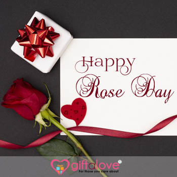 Happy Rose day Greetings