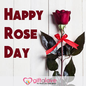Rose day Greeting for wife