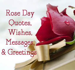 Rose Day Quotes, Messages, & Greetings
