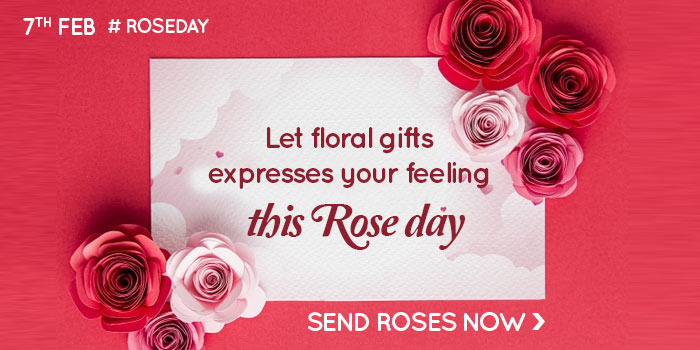 Valentines Gifts For Her - Valentines Day Roses - English Roses