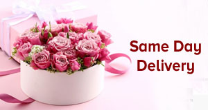 Same Day Delivery Gifts